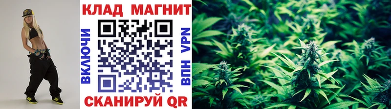 Купить Боровичи Псилоцибиновые грибы МЕФ ГАШ Бошки Шишки