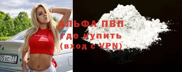сатива Аркадак